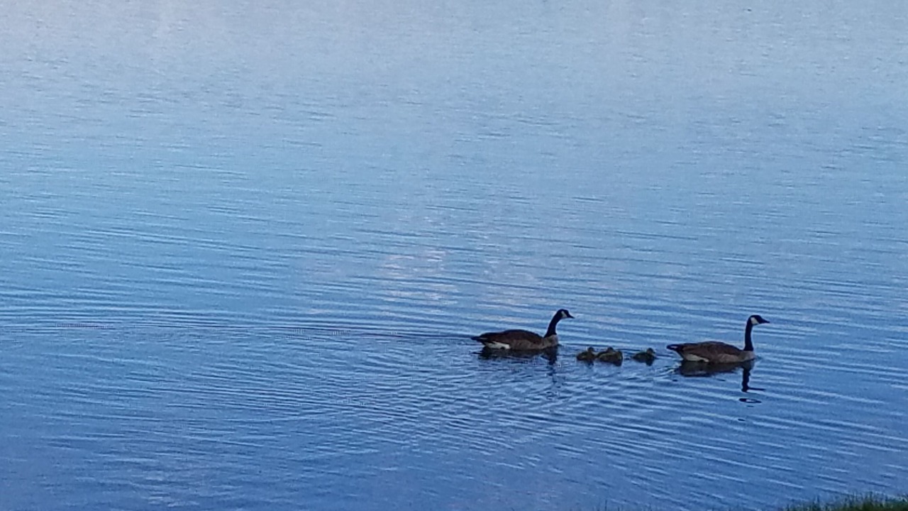 Photo of Others in Pagosa Springs