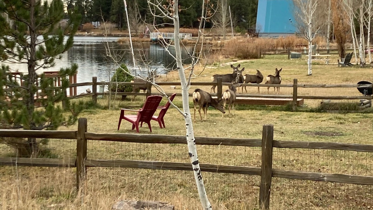 Photo of Outdoor in Pagosa Springs