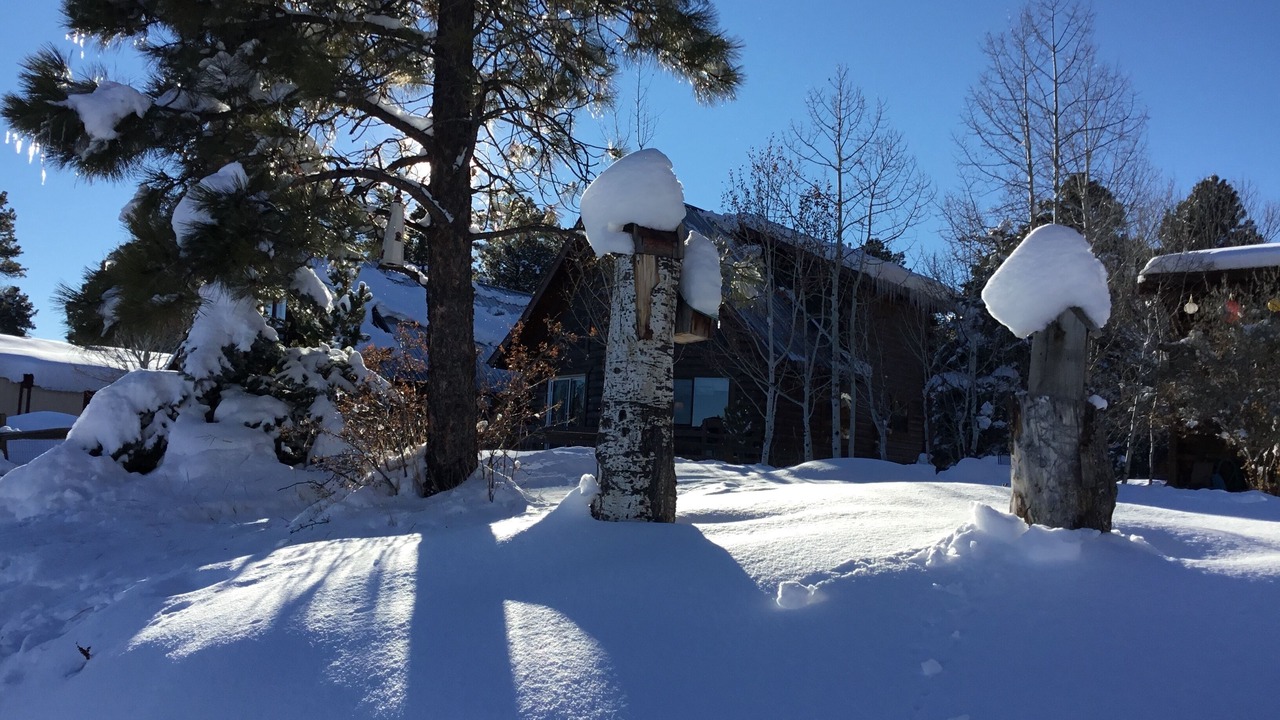 Photo of Others in Pagosa Springs