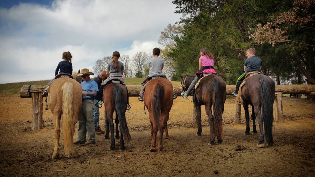 Photo of Others in Sevierville