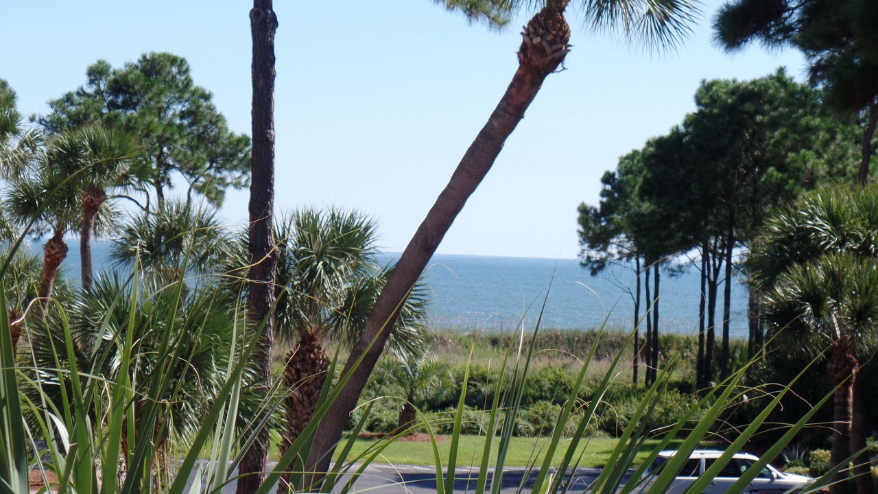 Photo of Patio Balcony in Hilton Head Island