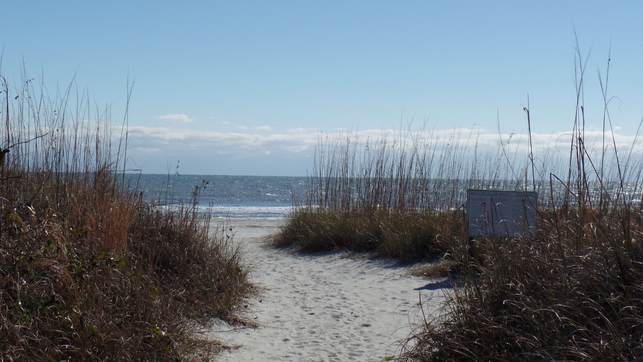 Photo of Others in Hilton Head Island