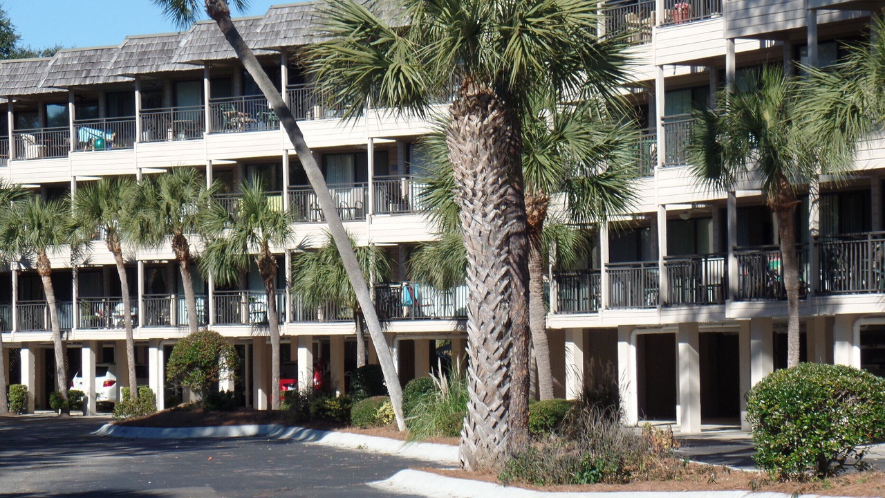 Photo of Outdoor in Hilton Head Island