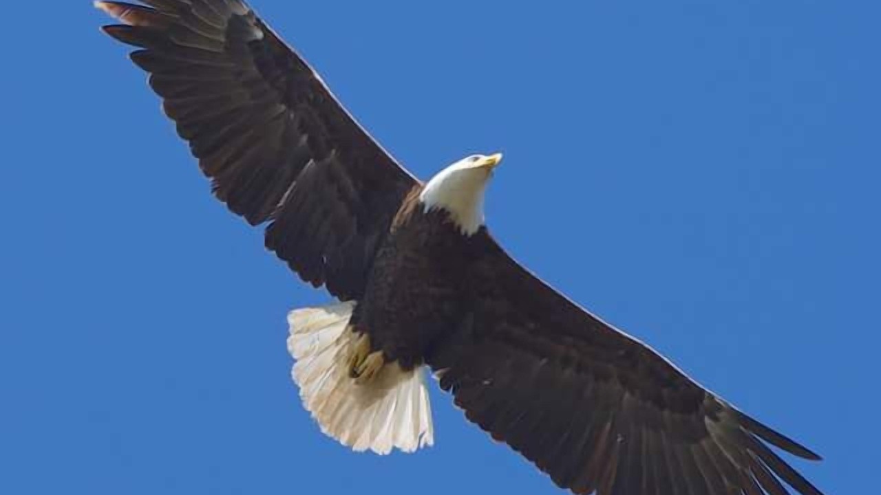 Photo of Others in Wynnburg