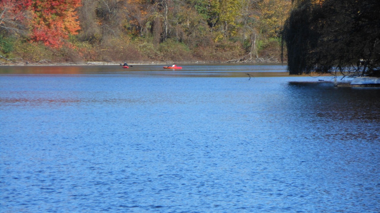 Photo of Others in Red Hook