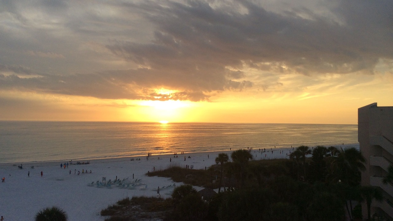 Photo of Others in Siesta Key