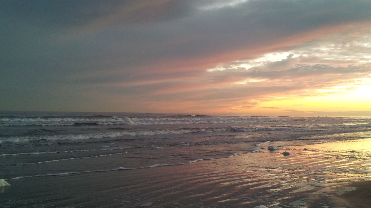 Photo of Others in Galveston