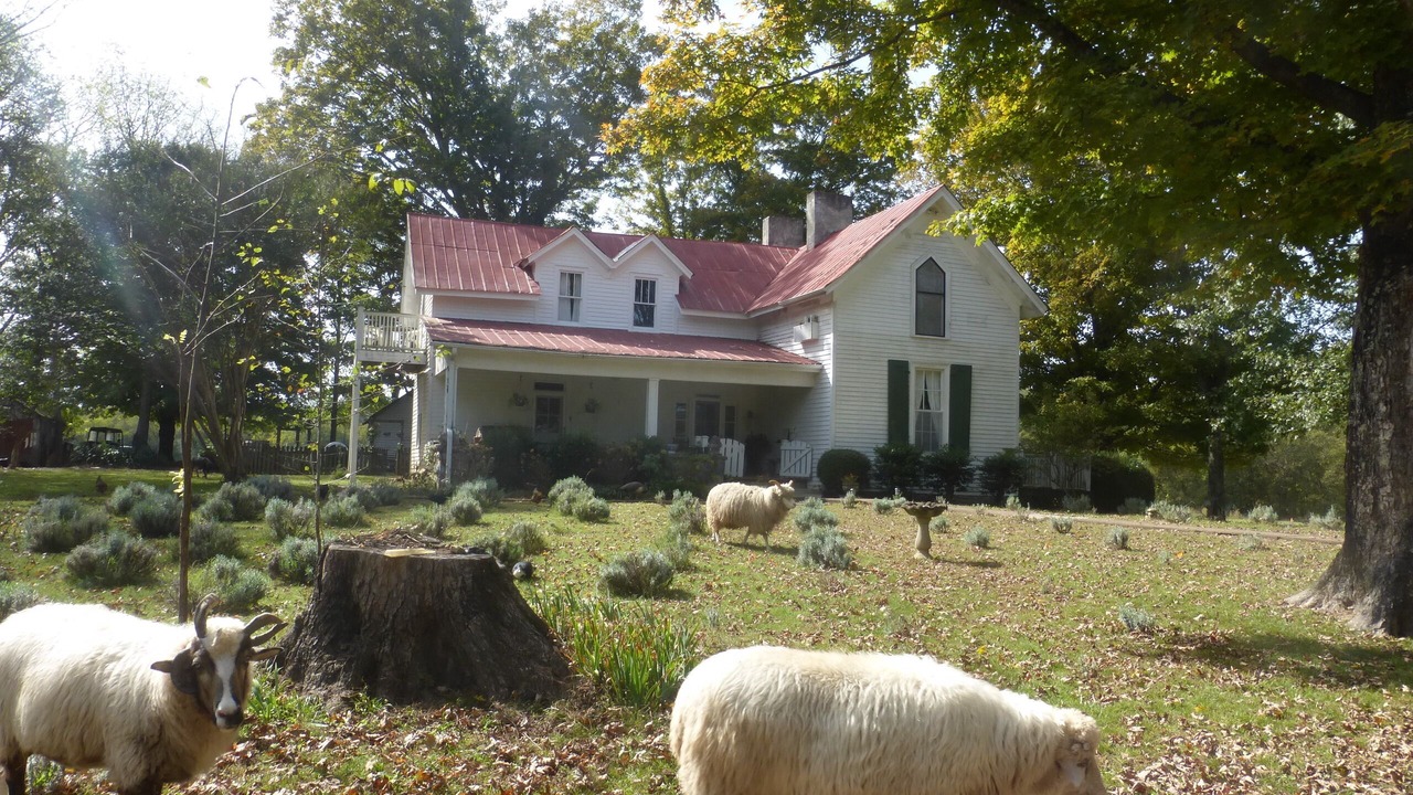 Photo of Outdoor in Mulberry