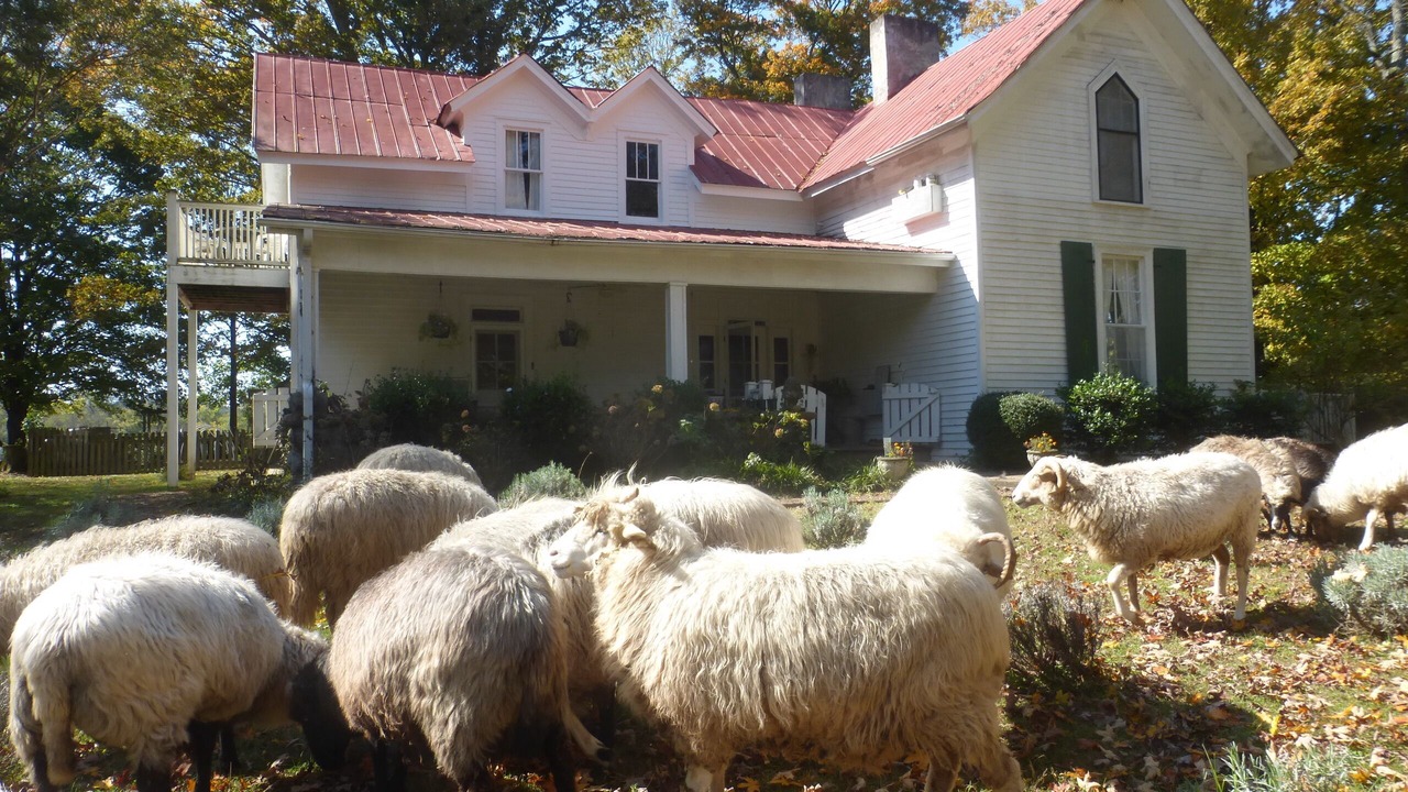 Photo of Outdoor in Mulberry