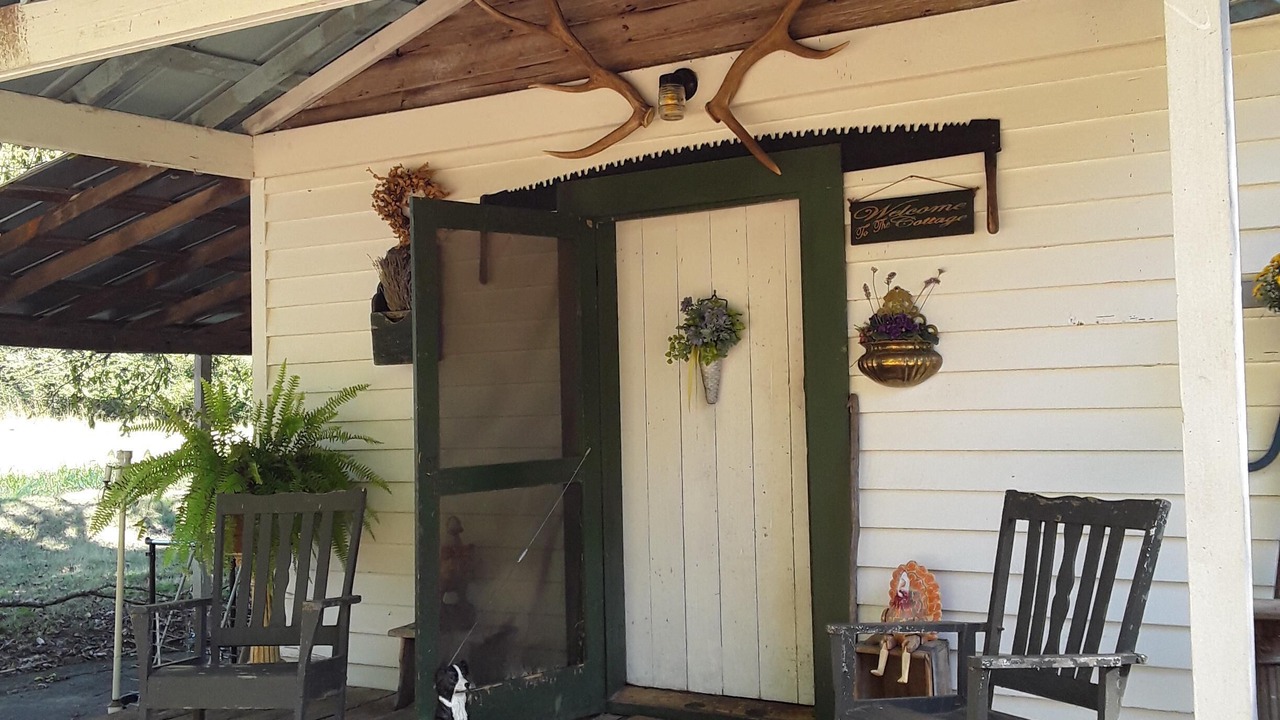 Photo of Outdoor in Mulberry