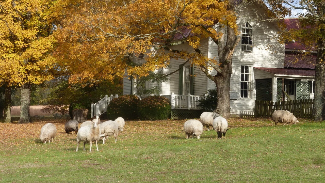 Photo of Outdoor in Mulberry