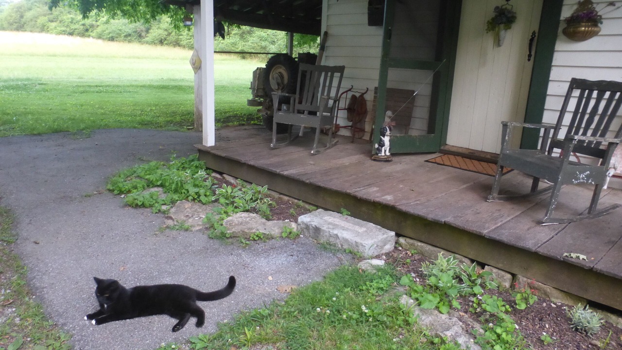 Photo of Patio Balcony in Mulberry
