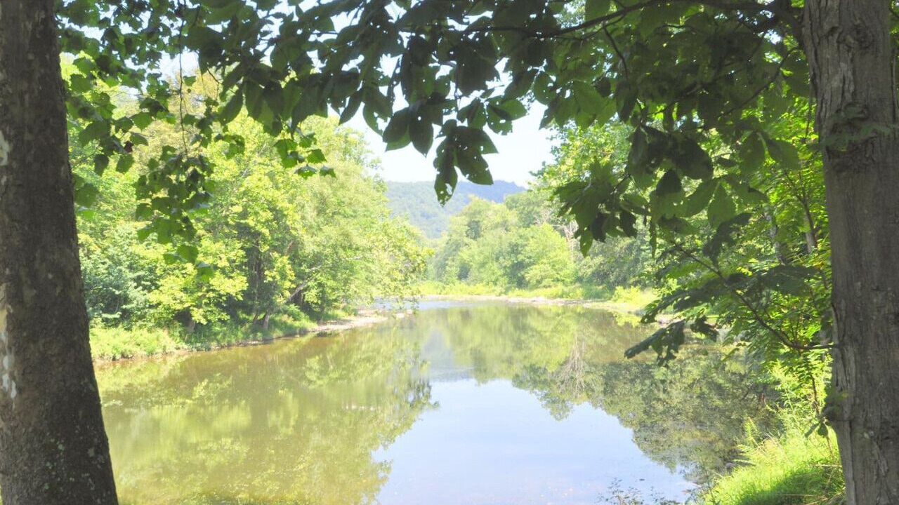 Photo of Others in Great Cacapon