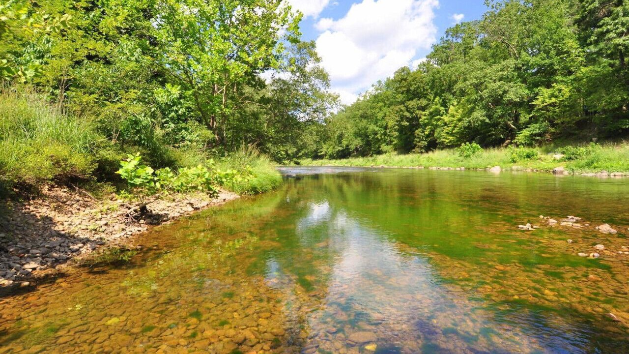 Photo of Outdoor in Great Cacapon