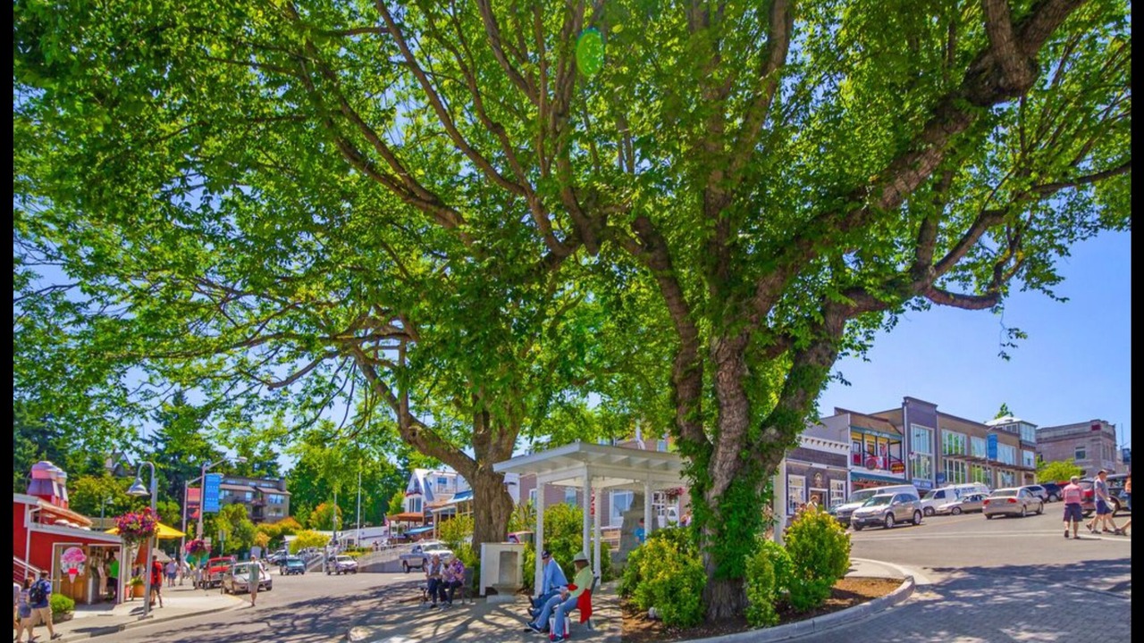 Photo of Outdoor in Friday Harbor
