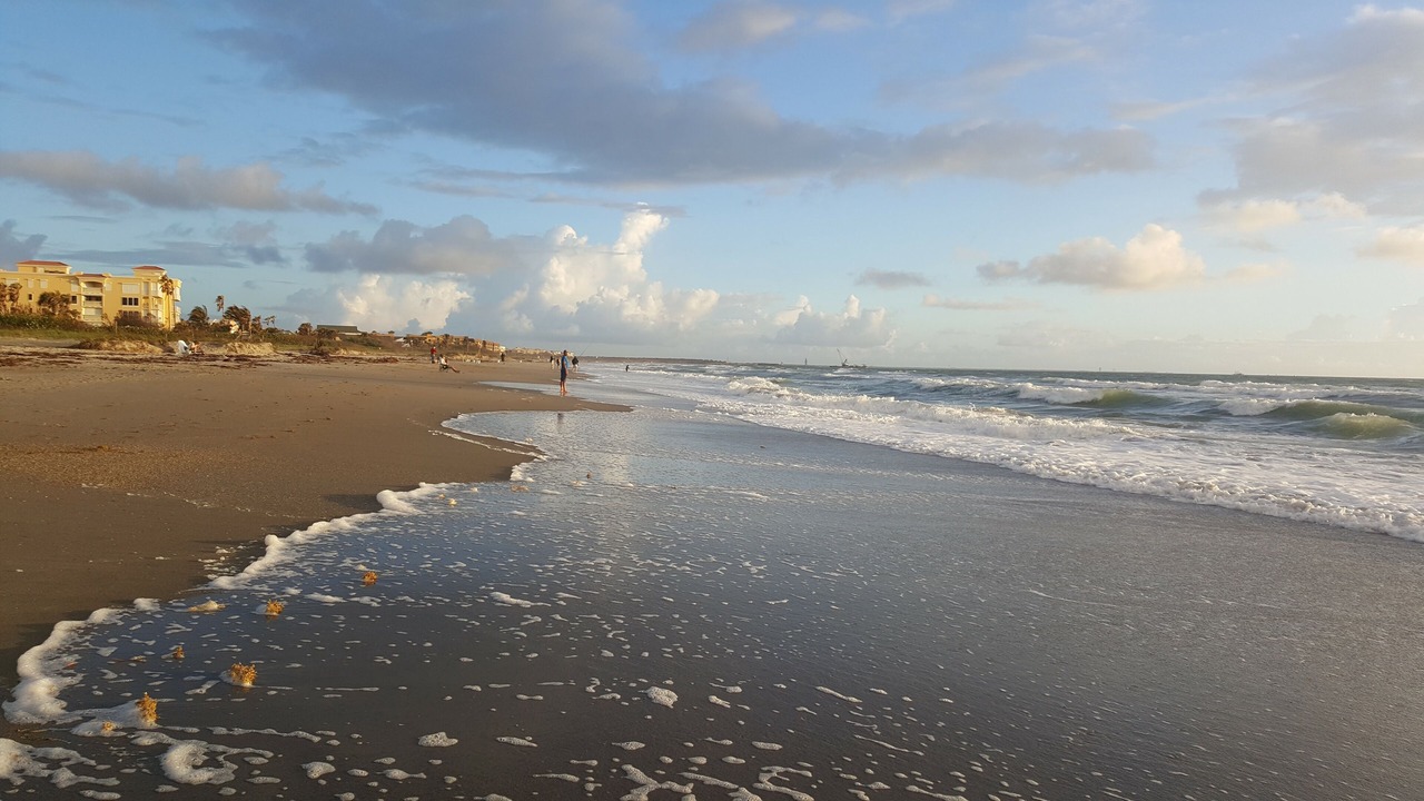Photo of Others in Port Canaveral