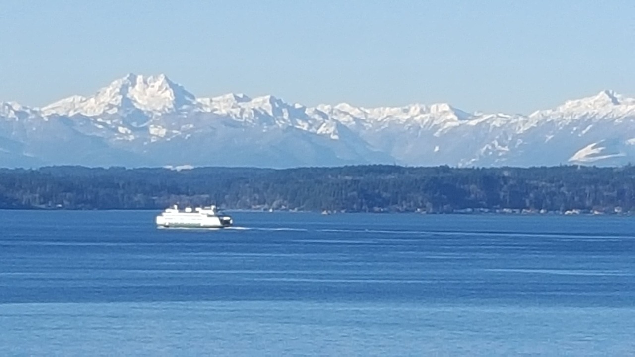 Photo of Others in North Admiral