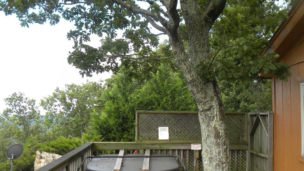 Photo of Others in Rising Fawn
