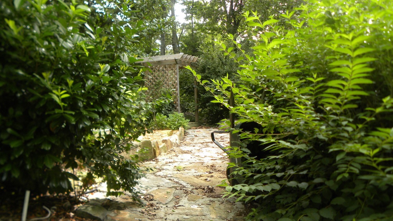 Photo of Outdoor in Rising Fawn