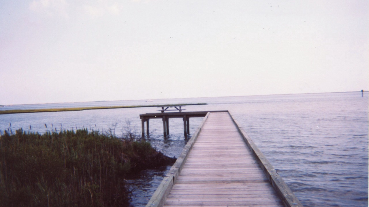 Photo of Others in Bayside