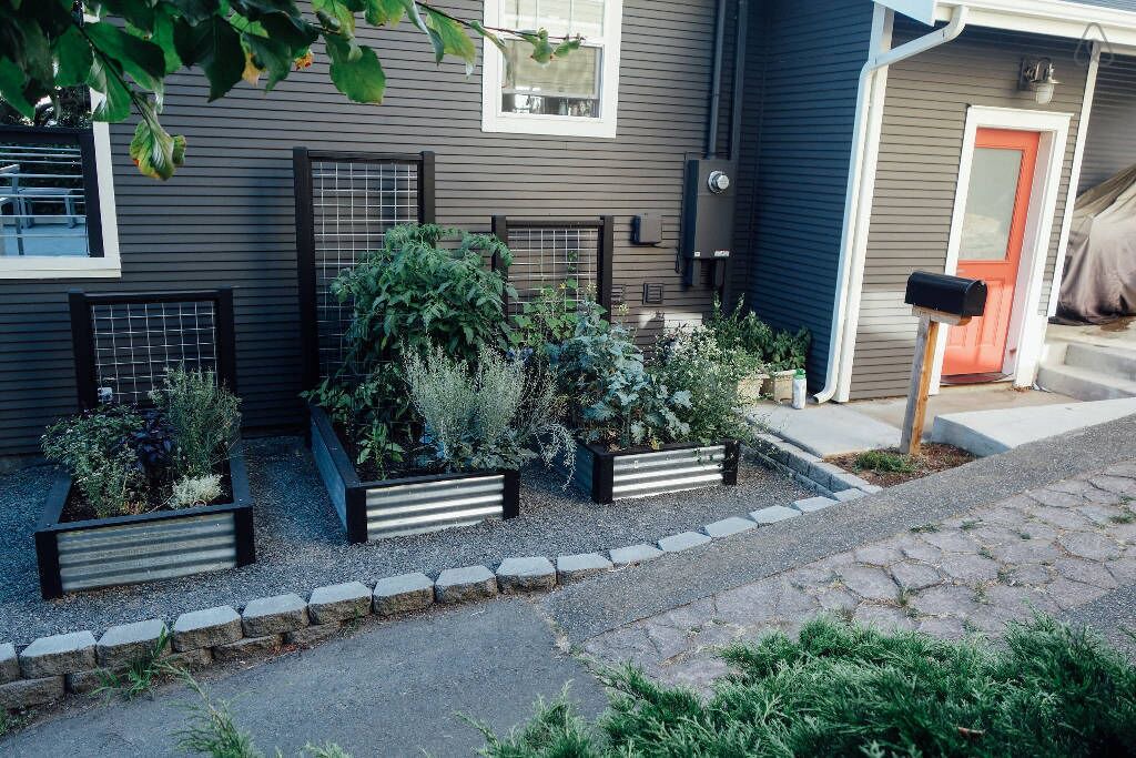 Photo of Outdoor in Fremont