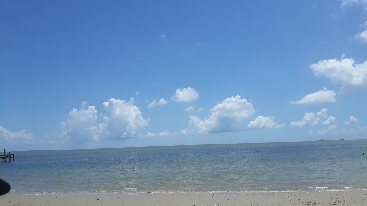 Photo of Others in Bacliff