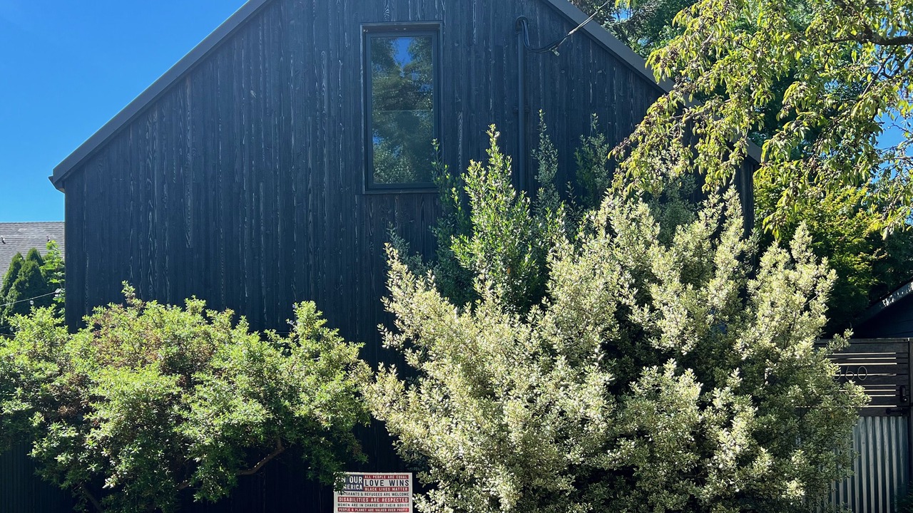 Photo of Outdoor in Hosford-Abernethy