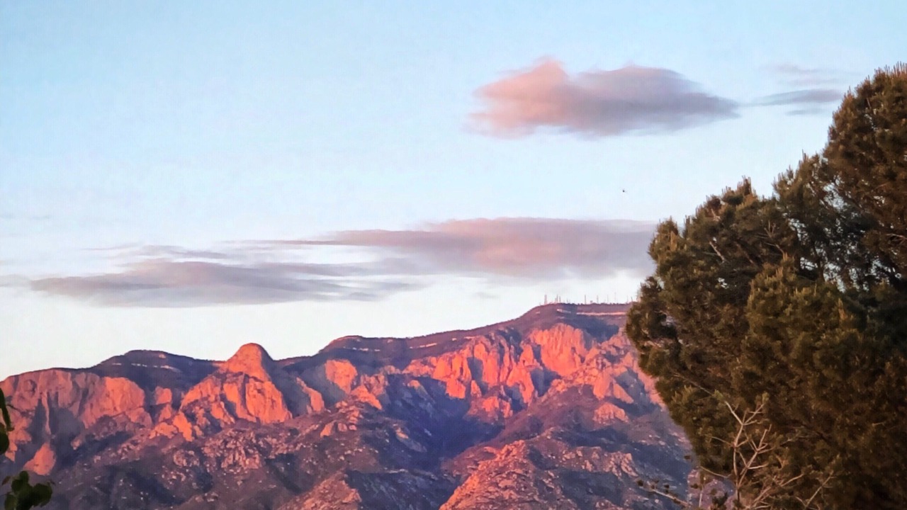 Photo of Others in Bear Canyon