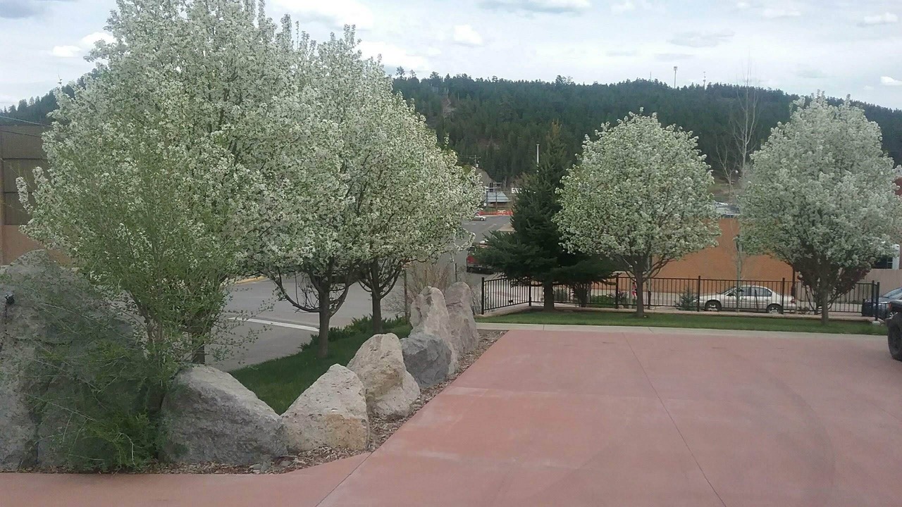 Photo of Others in Pagosa Springs