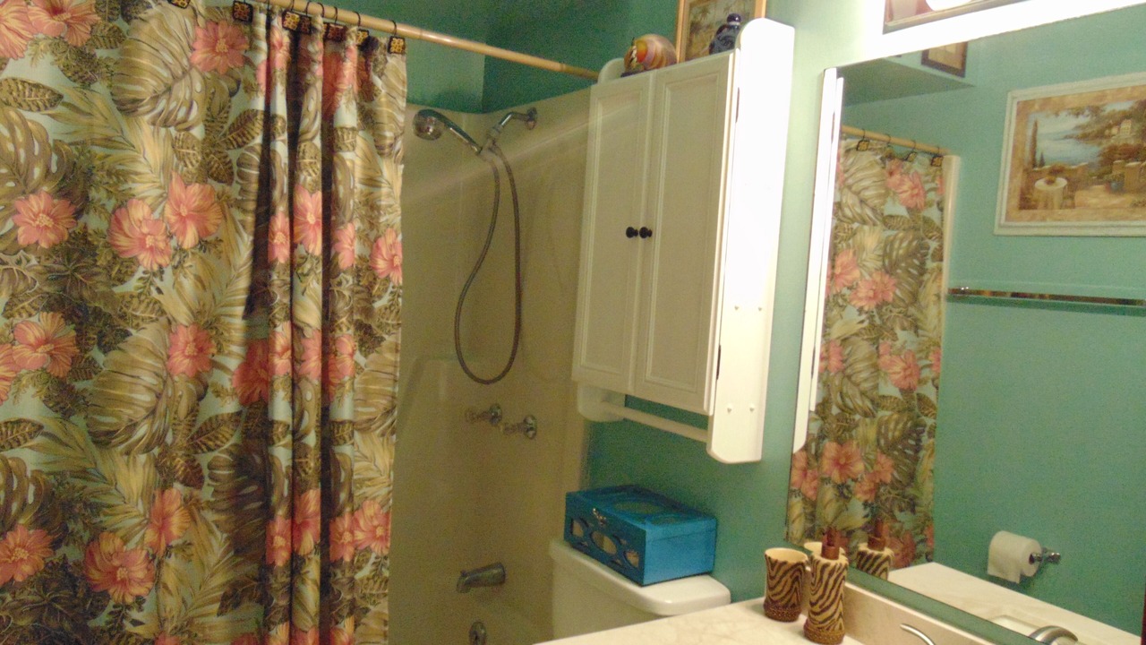 Photo of Bathroom in Lake Ozark