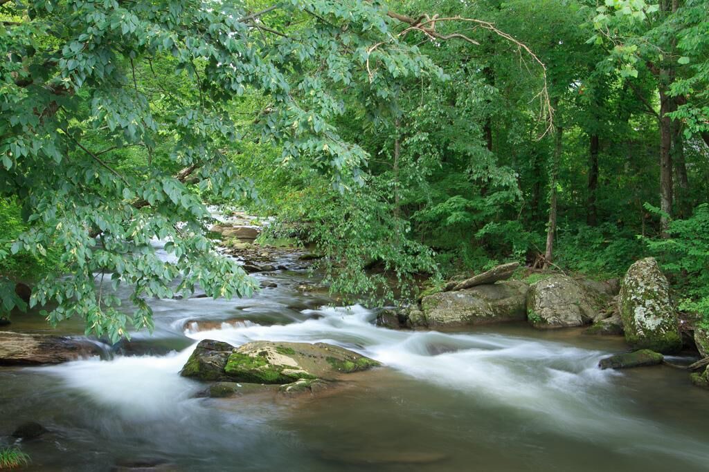 Photo of Outdoor in Cosby