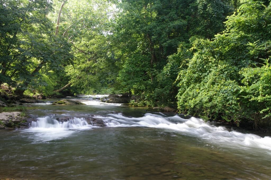 Photo of Outdoor in Cosby