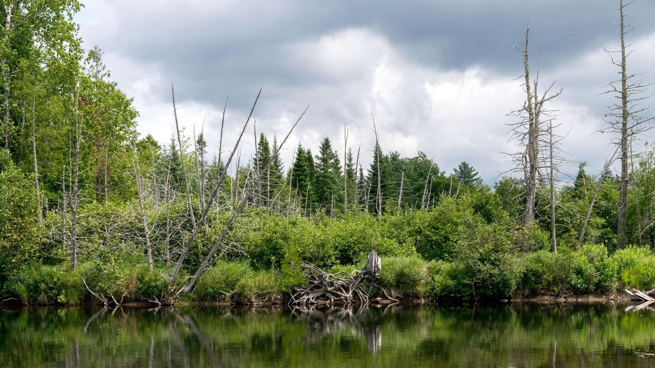 Photo of Outdoor in Lake Placid