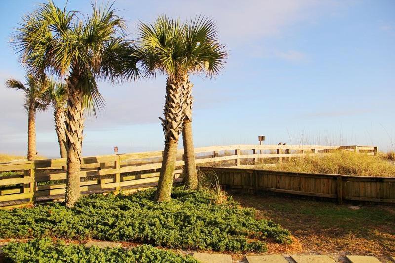 Photo of Outdoor in Orange Beach