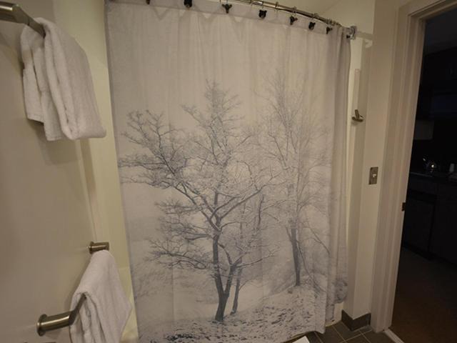 Photo of Bathroom in Snowshoe