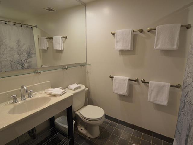 Photo of Bathroom in Snowshoe