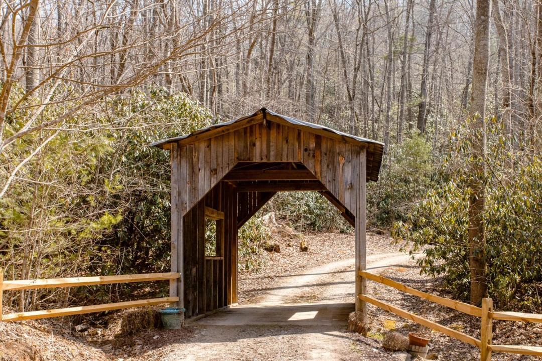 Photo of Others in Asheville