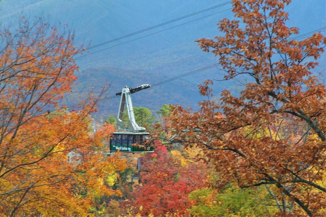 Photo of Outdoor in Gatlinburg - Pigeon Forge