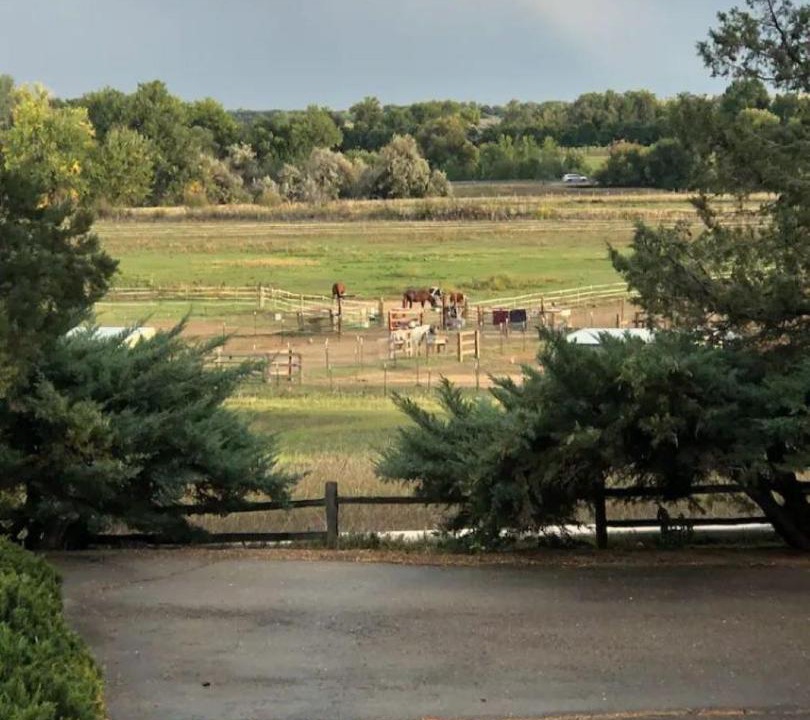 Photo of Others in Longmont