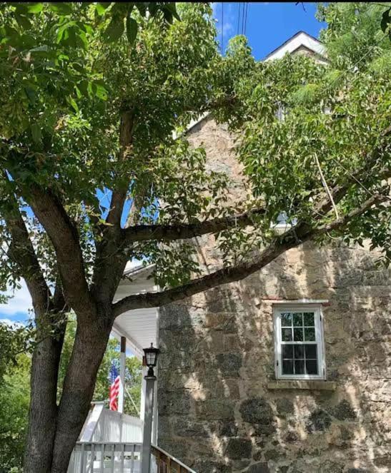 Photo of Others in Ellicott City