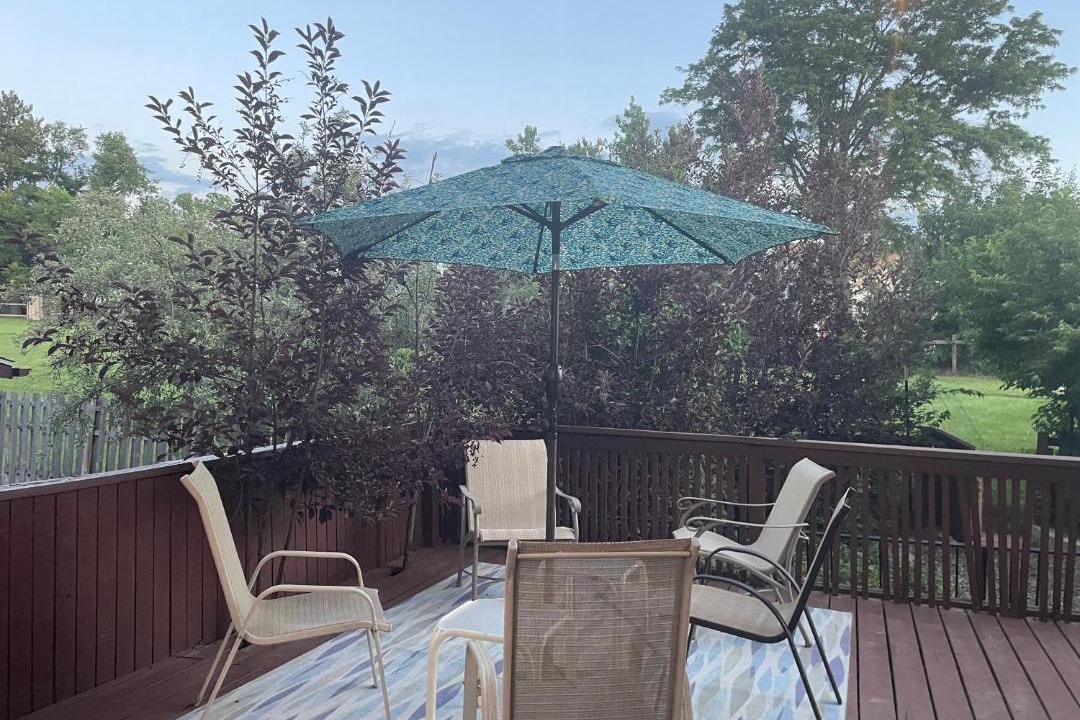 Photo of Patio Balcony in North Central Westminster