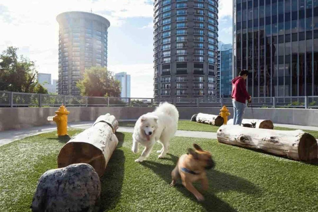 Photo of Others in The Gulch