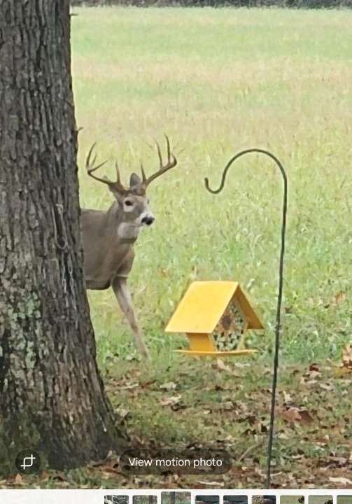Photo of Others in Russellville