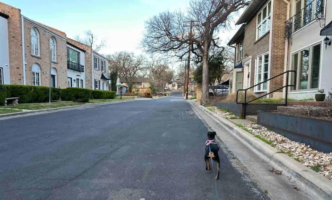 Photo of Others in Tarrytown