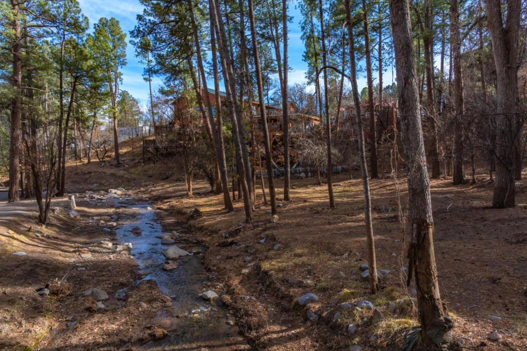 Photo of Others in Ruidoso