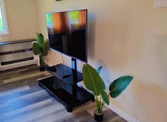 Photo of Livingroom in College