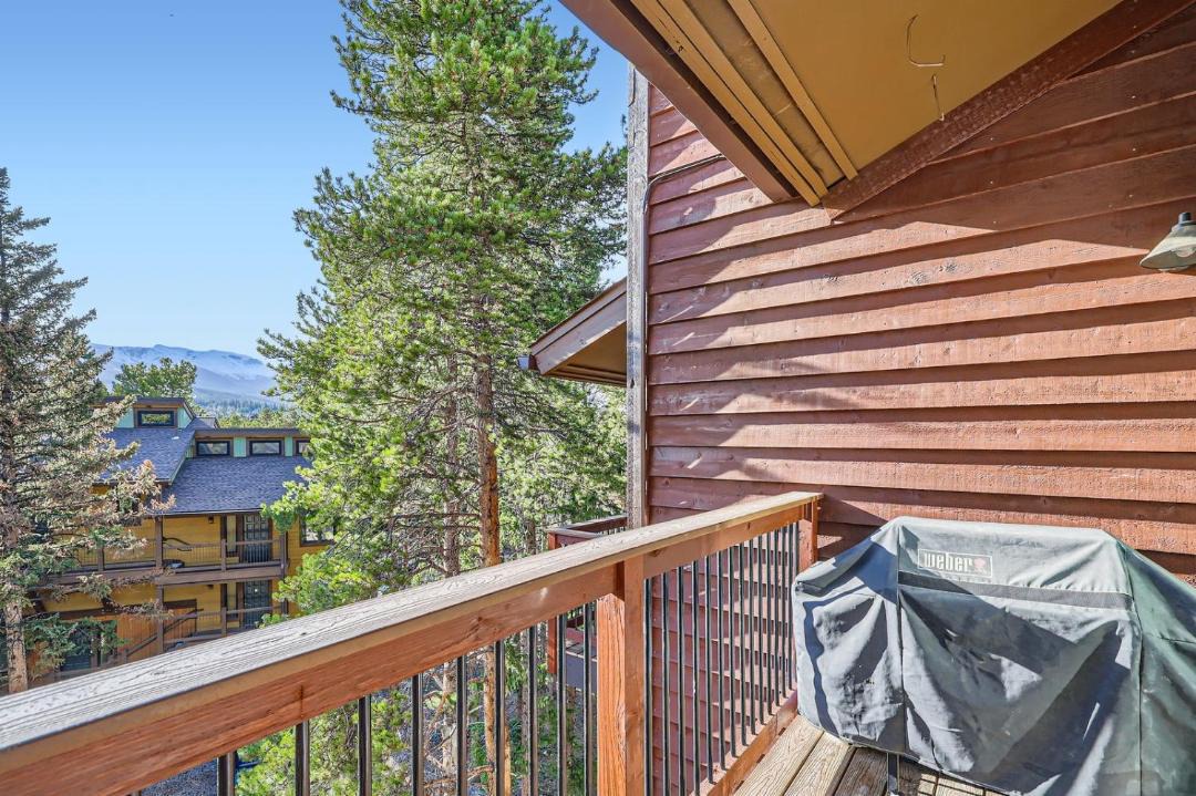 Photo of Patio Balcony in Warrior's Mark