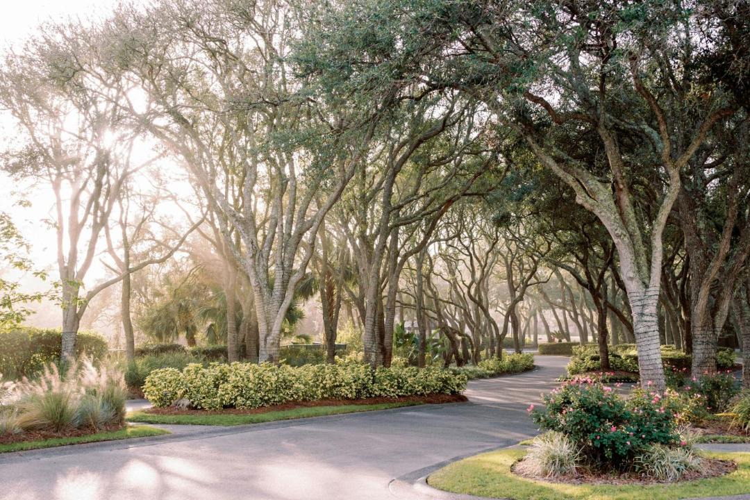 Photo of Others in Amelia City