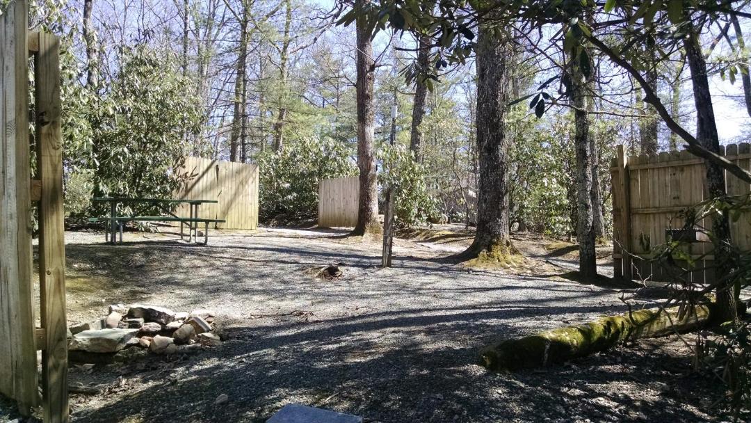 Photo of Others in Linville Falls