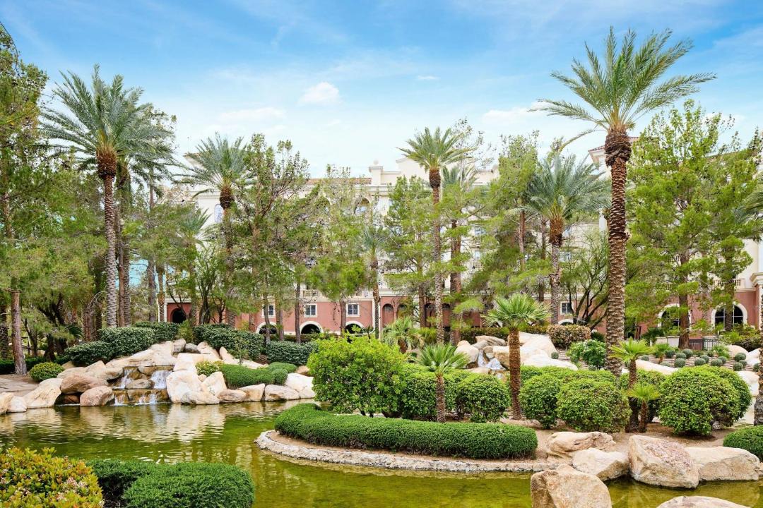 Photo of Others in Summerlin